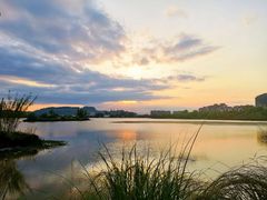 -重庆彩云湖湿地公园