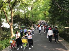 -苏堤停车场