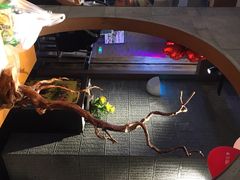 -呷哺呷哺(砂之船奥莱店)