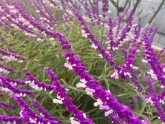 -北京农学院-第2食堂