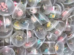 -中环花鸟鱼虫市场