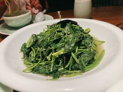 红薯叶-粗茶淡饭·隐庐私厨(东亭店)