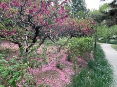 -元大都城垣遗址公园