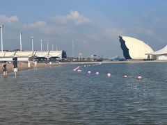 -碧海金沙