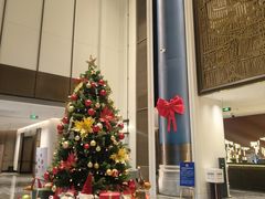 -北京东三环希尔顿逸林酒店