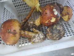 -南渝食府.石锅鸡(尚城花园店)