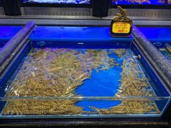 -万宝海鲜舫(劳动公园店)