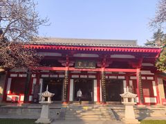 -大慈恩寺(大雁塔)