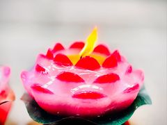 -亭林园-华藏寺