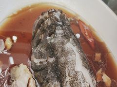 -百姓渔村(朝阳店)