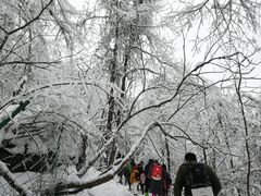 -九峰山