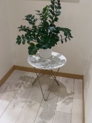 -智美品质医美