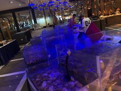 -小天鹅戴斯酒店鲸鲨百汇创作料理