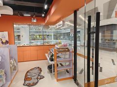 -三花喵·撸猫购宠·宠物生活馆(虹桥南丰城店)