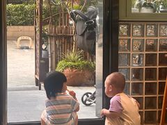 -尤加利咖啡馆