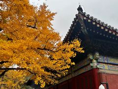 -红螺寺