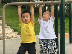 -东岳体育公园