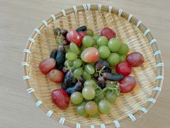 -马陆小张葡萄园农家乐