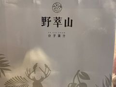 -野萃山·潮汕厚果汁(十亩地店)