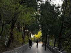 -佛慧山