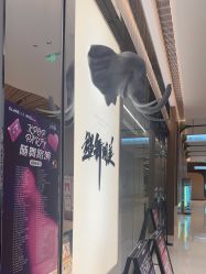 -YASAKI国际舞蹈中心