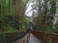 -龙水峡地缝景区