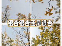 -重庆中央公园(渝北区)