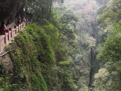 -青城山