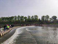 -洨河生态公园