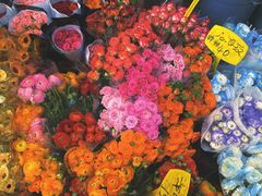 -循礼门鲜花花市(武汉循礼门店)