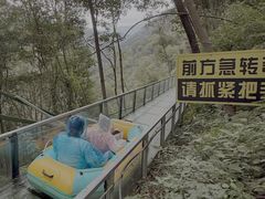 -龙湾潭国家森林公园