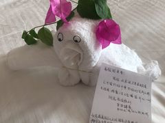 -三亚亚龙湾雅高美爵酒店