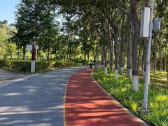 -大兴滨河森林公园