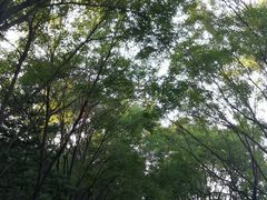 -森林公园(尖草坪区)