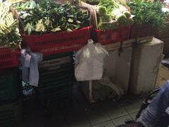 -杨屋道街市