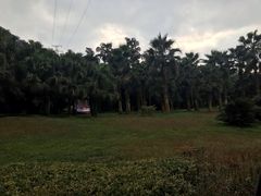 -重庆海昌加勒比海水世界