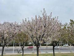 -汉江湾体育公园