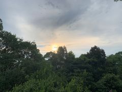 -火炉山森林公园