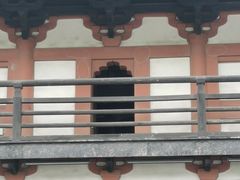-上海方塔园