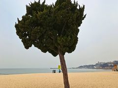 -青岛第一海水浴场