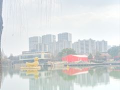 -青枫公园