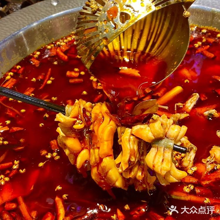 我在成都也吃到了超好吃的乌鱼火锅‼️59·9r鱼蛙混吃不限量！