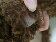 -宠颐生中康贝怡动物医院