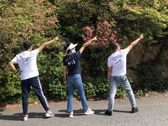 -木兰云雾山