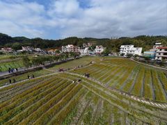 -红山村