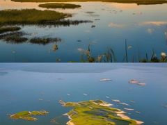 -鄱阳湖国家湿地公园