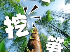 -艺年级儿童语言艺术中心(冉家坝爱融荟城店)