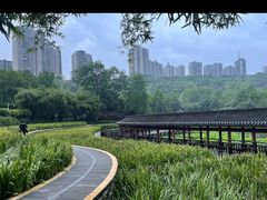 -龙头寺公园