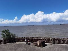 -上海滨江森林公园