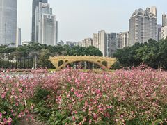 -海心沙亚运公园